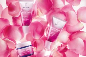 weleda-wild-rose